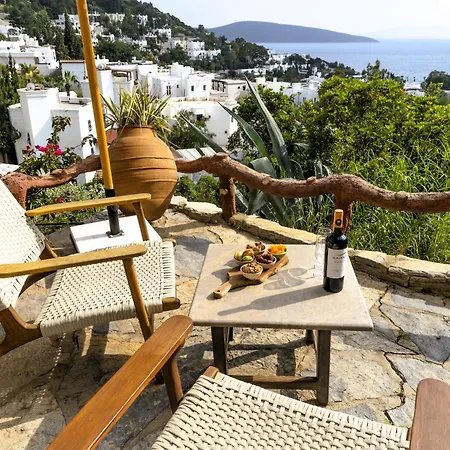 Otel The Aegean Gate (adults Only) Bodrum