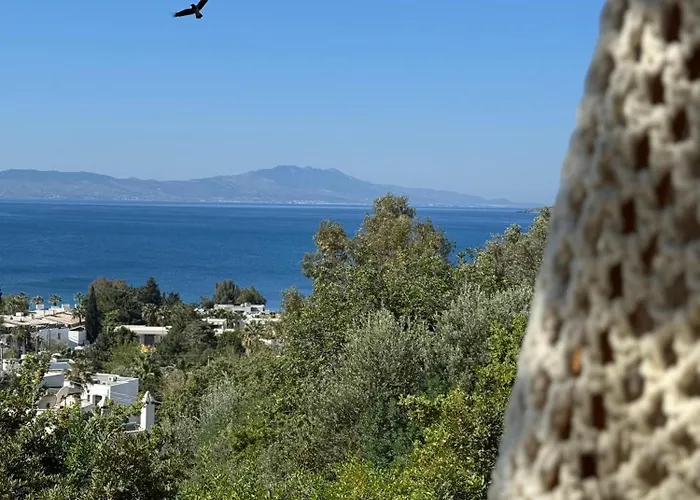 The Aegean Gate (adults Only)