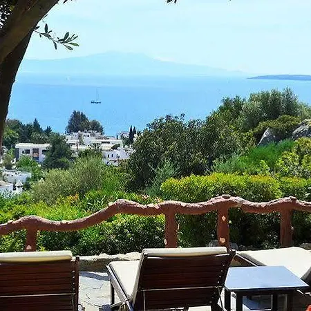 The Aegean Gate (adults Only) Hotel Bodrum
