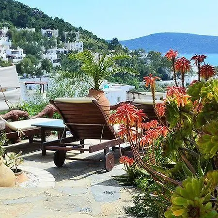 The Aegean Gate (adults Only) 4* Bodrum